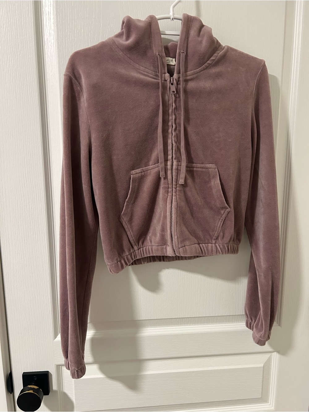 John Galt by Brandy Melville Velour Cropped Zip-Up Hoodie